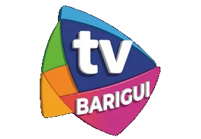 TV Barigui